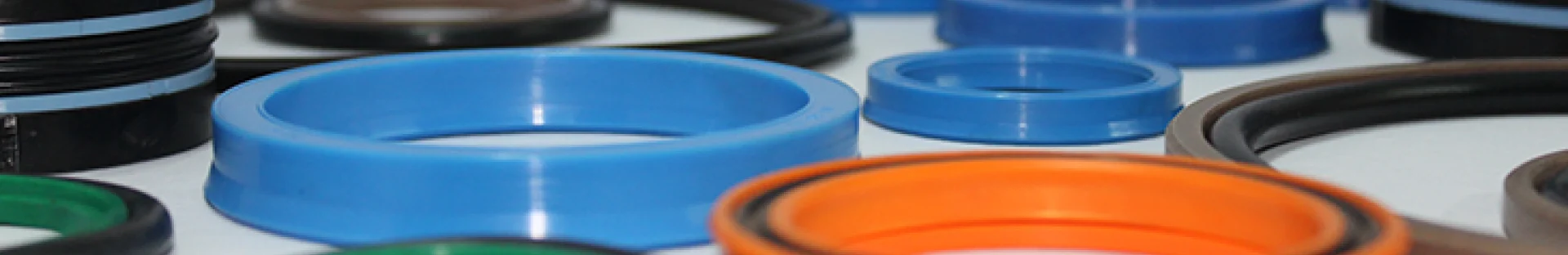 Hydraulics and Sealings image in Belize