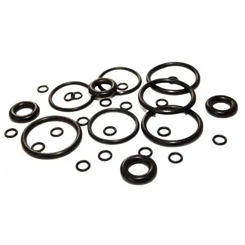 PLF VITON O RING in Belize
