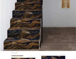 Steps and Risers in Russia