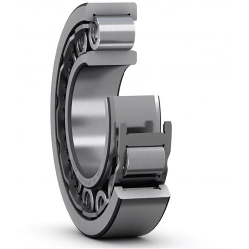 cylindrical-roller-bearing-309-ecj